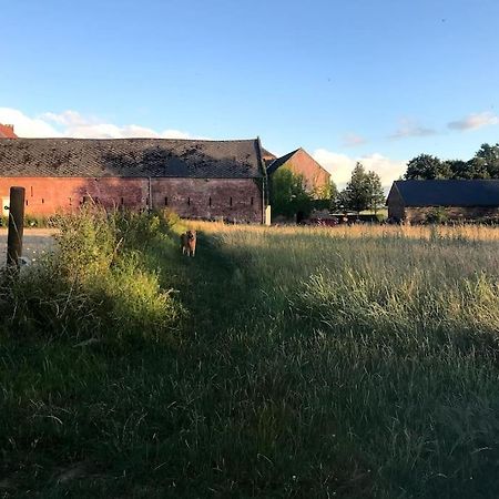Le Cottage - Maison De 6 A 8 Personnes - La Ferme Du Try Frasnes-lez-Gosselies Exteriér fotografie