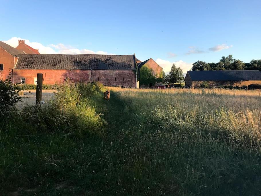 Le Cottage - Maison De 6 A 8 Personnes - La Ferme Du Try Frasnes-lez-Gosselies Exteriér fotografie