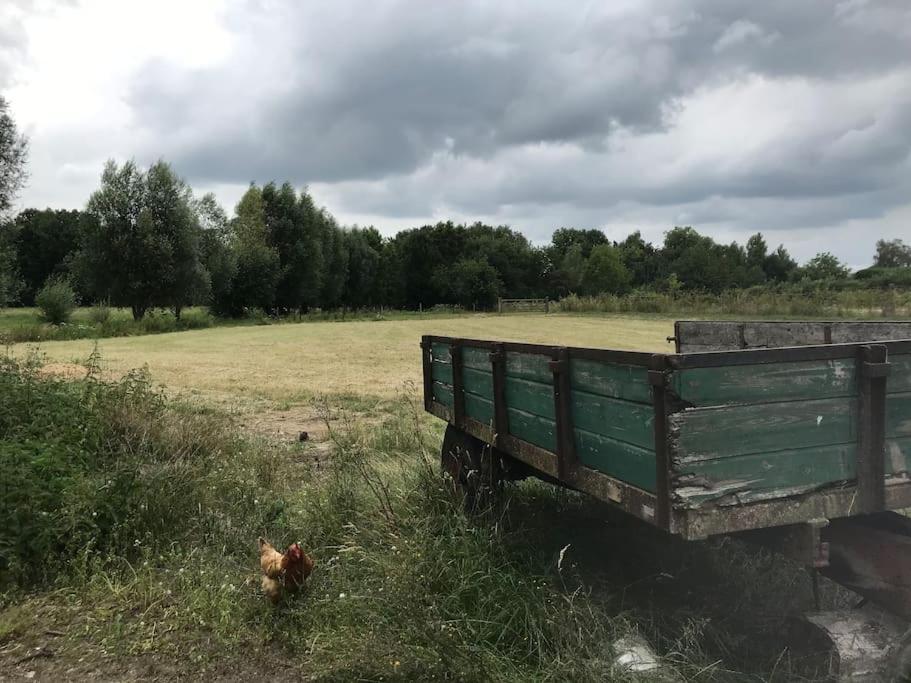 Le Cottage - Maison De 6 A 8 Personnes - La Ferme Du Try Frasnes-lez-Gosselies Exteriér fotografie
